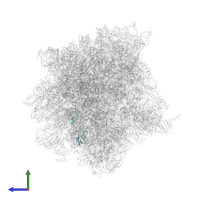 Large ribosomal subunit protein eL42 in PDB entry 4v6u, assembly 1, side view.