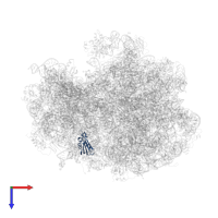 Small ribosomal subunit protein uS11 in PDB entry 4v6y, assembly 1, top view.