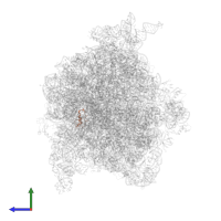 Small ribosomal subunit protein bS21 in PDB entry 4v6y, assembly 1, side view.