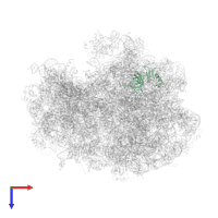 Large ribosomal subunit protein uL3 in PDB entry 4v6y, assembly 1, top view.