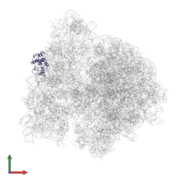 Small ribosomal subunit protein uS4 in PDB entry 4v6y, assembly 1, front view.