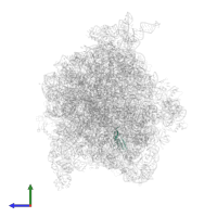 Small ribosomal subunit protein uS10 in PDB entry 4v6y, assembly 1, side view.