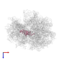 tRNA-fMet in PDB entry 4v72, assembly 1, top view.