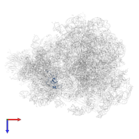 Small ribosomal subunit protein uS19 in PDB entry 4v7r, assembly 1, top view.