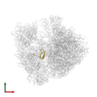 Small ribosomal subunit protein bS6 in PDB entry 4v84, assembly 1, front view.