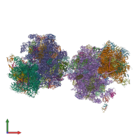 4v88 - The structure of the eukaryotic ribosome at 3.0 A resolution. -  Functional details - Protein Data Bank Japan