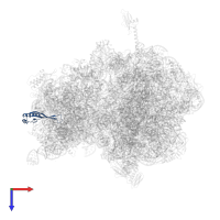 Small ribosomal subunit protein uS10 in PDB entry 4v8i, assembly 2, top view.