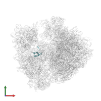 Small ribosomal subunit protein bS18 in PDB entry 4v8i, assembly 2, front view.