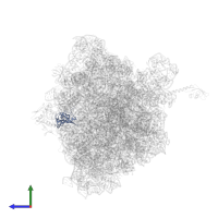 Large ribosomal subunit protein uL13 in PDB entry 4v8i, assembly 2, side view.