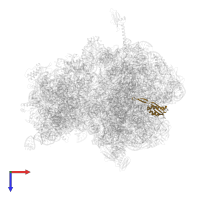 Large ribosomal subunit protein uL22 in PDB entry 4v8i, assembly 2, top view.