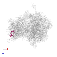 Small ribosomal subunit protein uS4 in PDB entry 4v8i, assembly 2, top view.