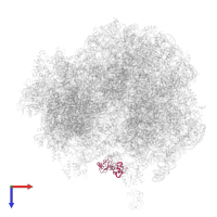 60S RIBOSOMAL PROTEIN L11-A in PDB entry 4v8y, assembly 1, top view.