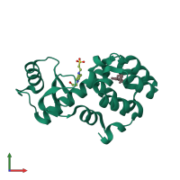 3D model of 4w56 from PDBe