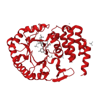 The deposited structure of PDB entry 4wfs contains 1 copy of Pfam domain PF01207 (Dihydrouridine synthase (Dus)) in tRNA-dihydrouridine(20) synthase [NAD(P)+]-like. Showing 1 copy in chain A.