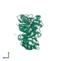 tRNA-dihydrouridine(20) synthase [NAD(P)+]-like in PDB entry 4wfs, assembly 1, side view.