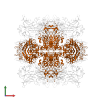 Protocatechuate 3,4-dioxygenase beta chain in PDB entry 4whp, assembly 1, front view.