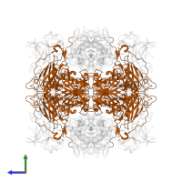 Protocatechuate 3,4-dioxygenase beta chain in PDB entry 4whp, assembly 1, side view.