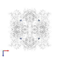 2-AMINO-2-HYDROXYMETHYL-PROPANE-1,3-DIOL in PDB entry 4whr, assembly 1, top view.