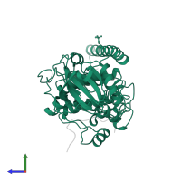 cAMP-dependent protein kinase catalytic subunit alpha in PDB entry 4wih, assembly 1, side view.