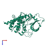 cAMP-dependent protein kinase catalytic subunit alpha in PDB entry 4wih, assembly 1, top view.