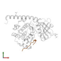 cAMP-dependent protein kinase inhibitor alpha in PDB entry 4wih, assembly 1, front view.
