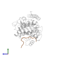 cAMP-dependent protein kinase inhibitor alpha in PDB entry 4wih, assembly 1, side view.