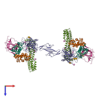 Hetero decameric assembly 1 of PDB entry 4wjg coloured by chemically distinct molecules, top view.