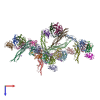 PDB entry 4wjg coloured by chain, top view.