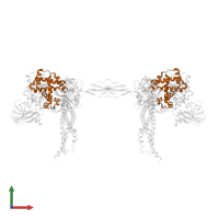 Hemoglobin subunit beta in PDB entry 4wjg, assembly 3, front view.