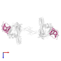 Iron-regulated surface determinant protein H in PDB entry 4wjg, assembly 3, top view.