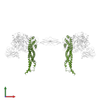 Haptoglobin-hemoglobin receptor in PDB entry 4wjg, assembly 3, front view.