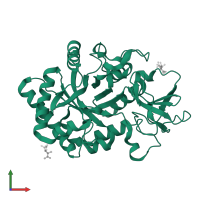 Chitotriosidase-1 in PDB entry 4wjx, assembly 1, front view.