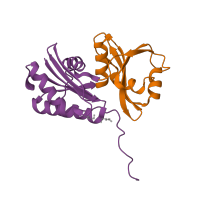 The deposited structure of PDB entry 4wq4 contains 4 copies of CATH domain 3.30.420.40 (Nucleotidyltransferase; domain 5) in tRNA threonylcarbamoyladenosine biosynthesis protein TsaB. Showing 2 copies in chain C.