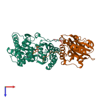 Hetero dimeric assembly 1 of PDB entry 4wq4 coloured by chemically distinct molecules, top view.
