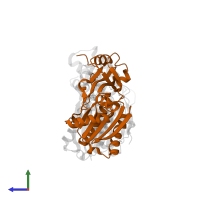 tRNA threonylcarbamoyladenosine biosynthesis protein TsaB in PDB entry 4wq4, assembly 1, side view.