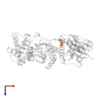 DI(HYDROXYETHYL)ETHER in PDB entry 4wq4, assembly 1, top view.