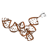 The deposited structure of PDB entry 4wr6 contains 1 copy of Rfam domain RF00005 (tRNA) in tRNA-fMet. Showing 1 copy in chain W [auth 2K].