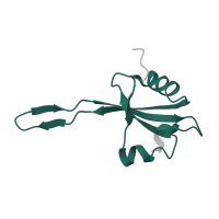 The deposited structure of PDB entry 4wr6 contains 2 copies of Pfam domain PF00276 (Ribosomal protein L23) in Large ribosomal subunit protein uL23. Showing 1 copy in chain RA [auth F8].