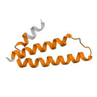The deposited structure of PDB entry 4wr6 contains 2 copies of Pfam domain PF00831 (Ribosomal L29 protein) in Large ribosomal subunit protein uL29. Showing 1 copy in chain YC [auth G5].