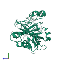 Carbonic anhydrase 2 in PDB entry 4ww6, assembly 1, side view.