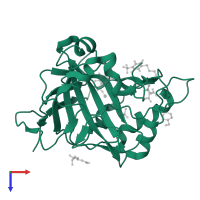 Carbonic anhydrase 2 in PDB entry 4ww6, assembly 1, top view.