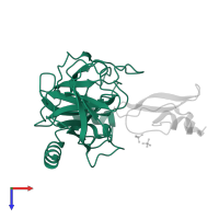 Serine protease 1 in PDB entry 4wxv, assembly 1, top view.