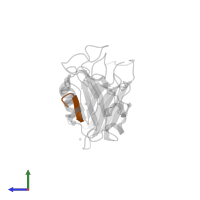 peptide SER-TRP-PHE-GLN-THR-ASP-LEU in PDB entry 4wyu, assembly 1, side view.