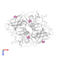 ACETATE ION in PDB entry 4wzl, assembly 1, top view.
