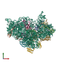 3D model of 4x62 from PDBe