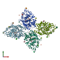 PDB entry 4x91 coloured by chain, front view.