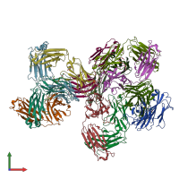 PDB entry 4xcy coloured by chain, front view.