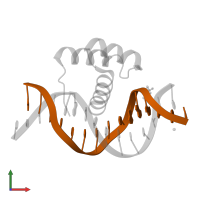 DNA (5'-D(*AP*GP*AP*AP*AP*GP*CP*CP*AP*TP*TP*AP*GP*AP*G)-3') in PDB entry 4xid, assembly 1, front view.