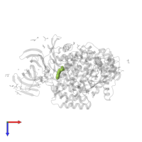 (3S)-3-AMINO-4-(1H-INDOL-3-YL)BUTANOIC ACID in PDB entry 4xnd, assembly 1, top view.