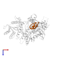 DNA (5'-D(*CP*TP*AP*GP*CP*GP*TP*CP*A)-3') in PDB entry 4xvm, assembly 1, top view.